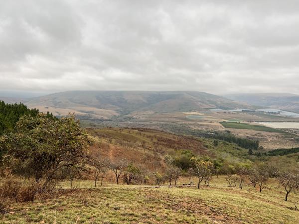 93.3 ha Farm