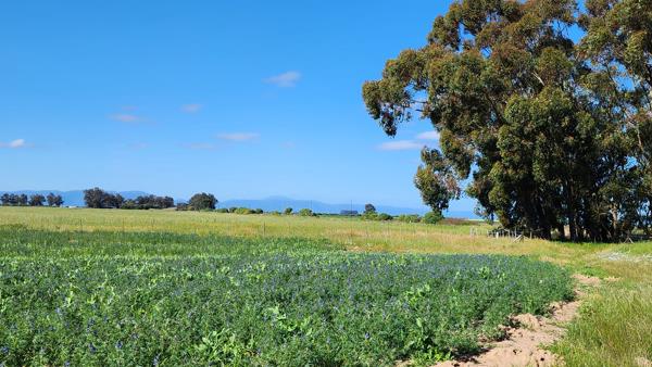 603 ha Farm