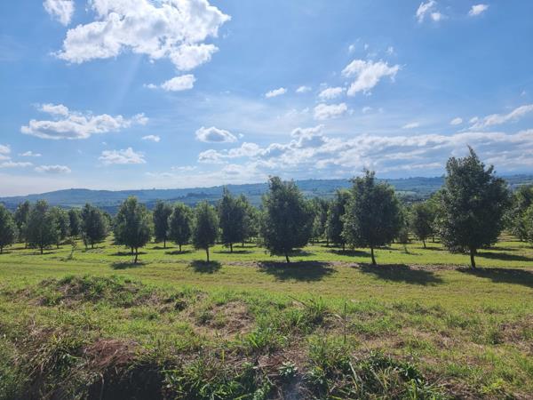 45.2 ha Agricultural Holding