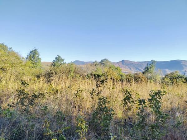 1 ha Land