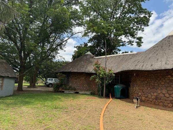 19.5 ha Agricultural Holding