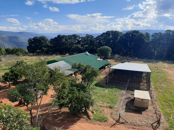 81 ha Smallholding