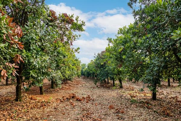 16 ha Farm
