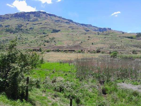 133 ha Land