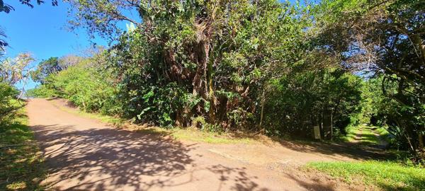 4 046 m² Land