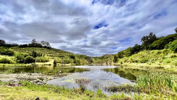 33.4 ha Agricultural Holding