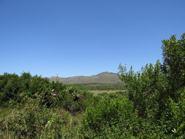 1 030 m² Land