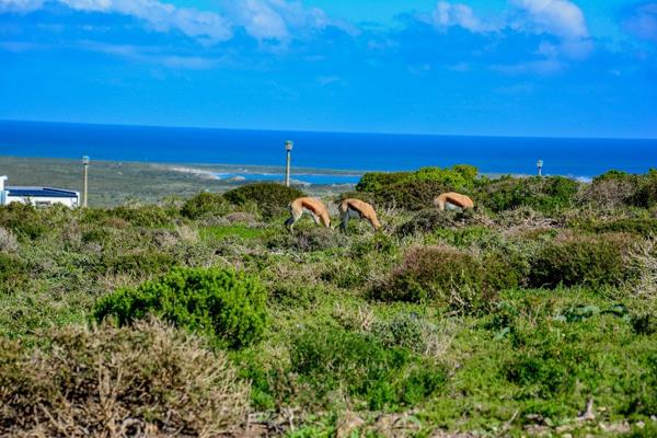 753 m² Land