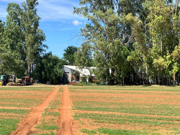 68 ha Farm