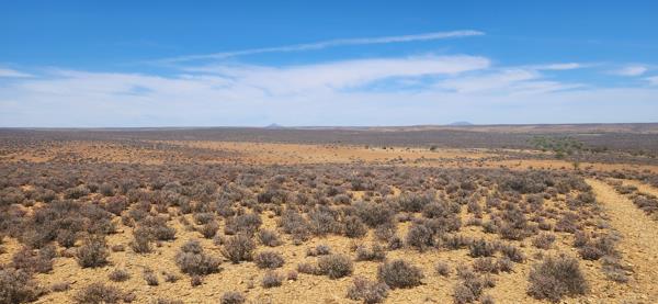 6 354 ha Farm