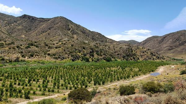 370 ha Farm