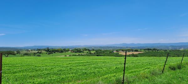 25.9 ha Farm