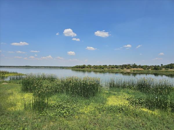 480 ha Farm