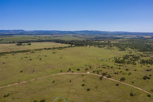 3.6 ha Land