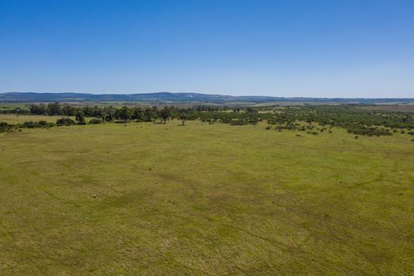 6.1 ha Land
