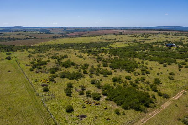 2.3 ha Land