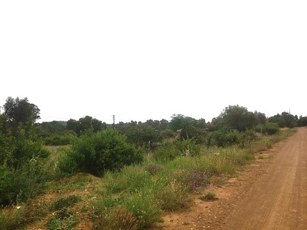 1 000 m² Land