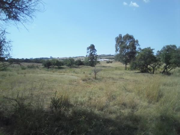 25 ha Farm