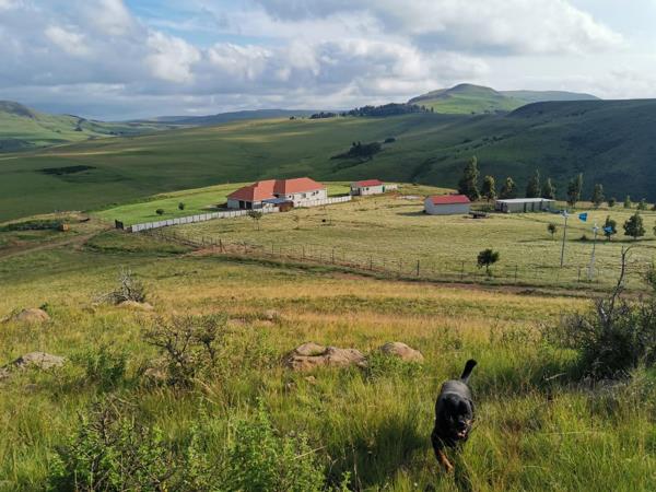 90 ha Farm