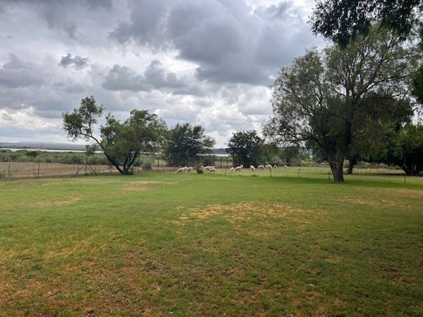 Farm