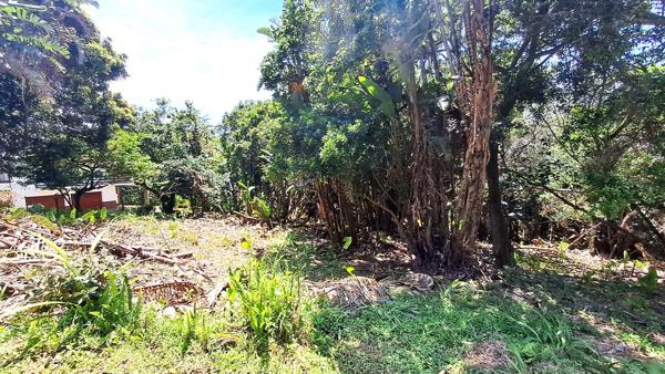 1 619 m² Land