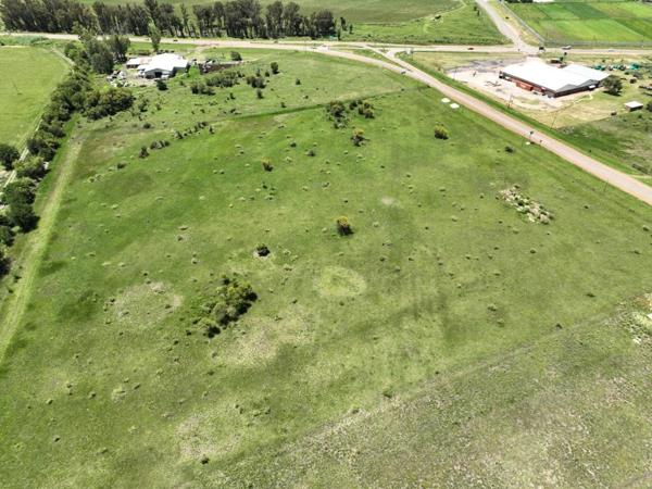 5 ha Smallholding