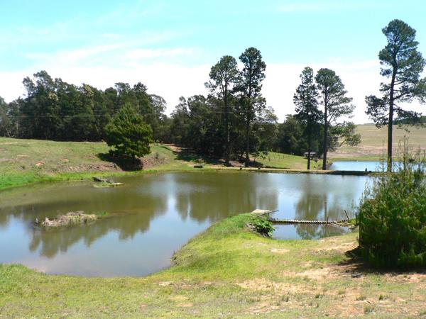 11.8 ha Smallholding