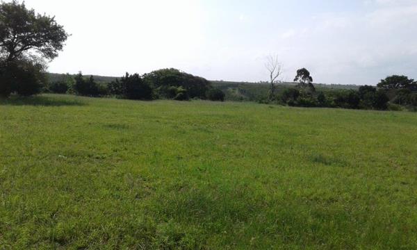 1.3 ha Land