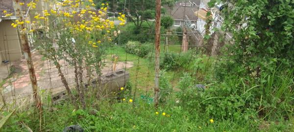 337 m² Land