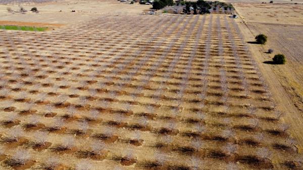 21 ha Farm