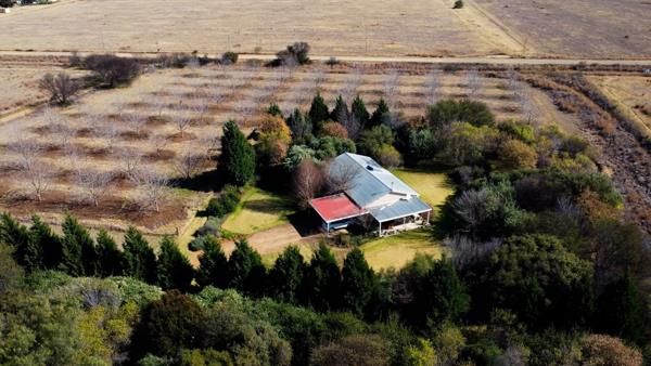 21 ha Farm