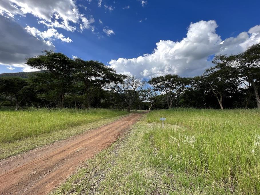 1 ha Land