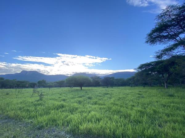 1 ha Land