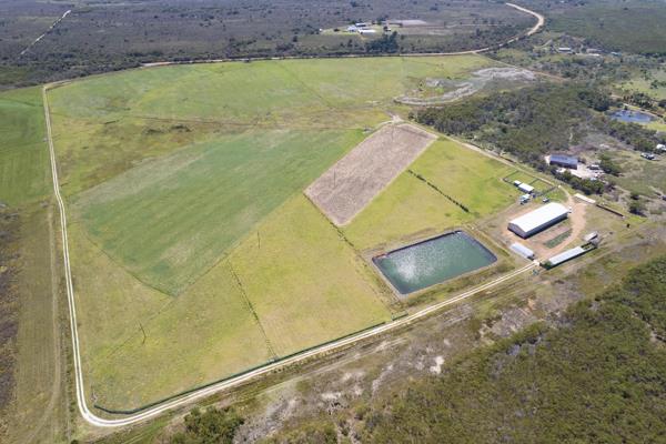 16.8 ha Land