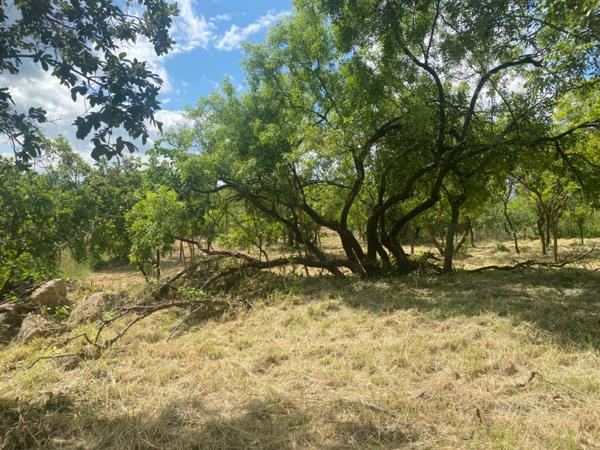 1 455 m² Land