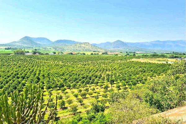 54 ha Farm