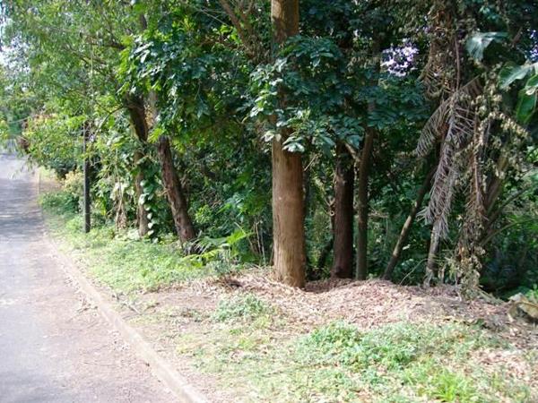 1 283 m² Land