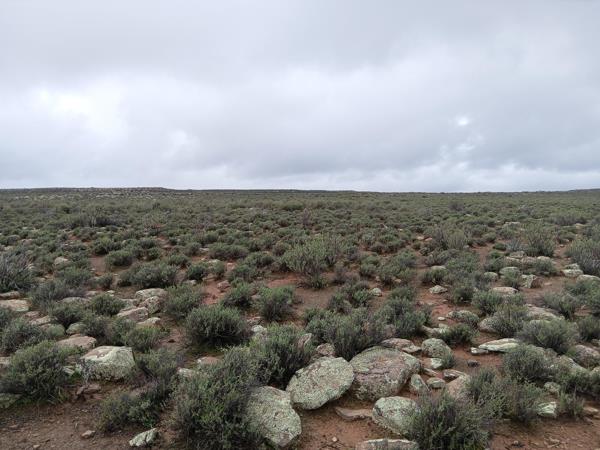 1 151 ha Farm