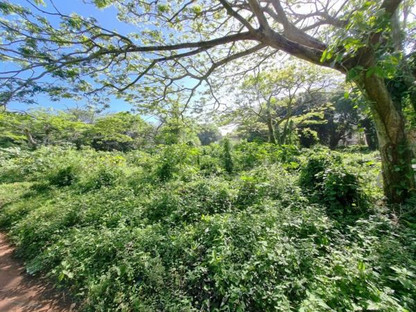6 853 m² Land