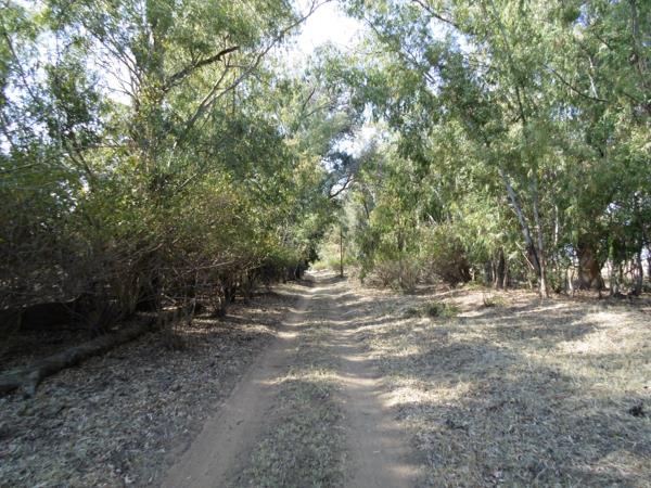 42.8 ha Farm