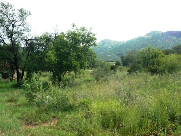 600 m² Land