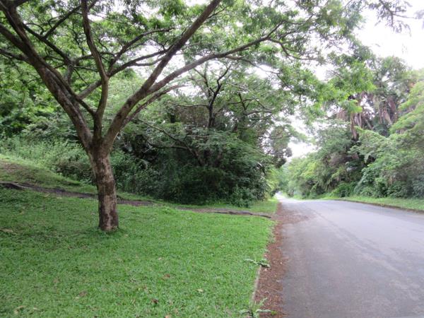 1 350 m² Land