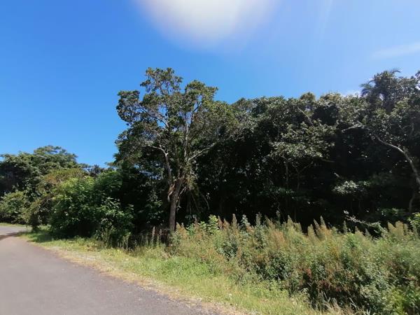 1 356 m² Land