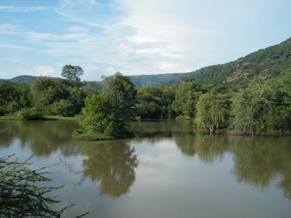 670 ha Farm