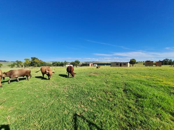 11 ha Farm