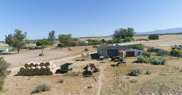 390 ha Farm