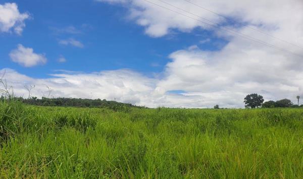 35 ha Farm