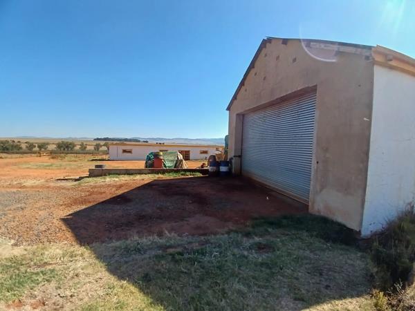 534 ha Farm