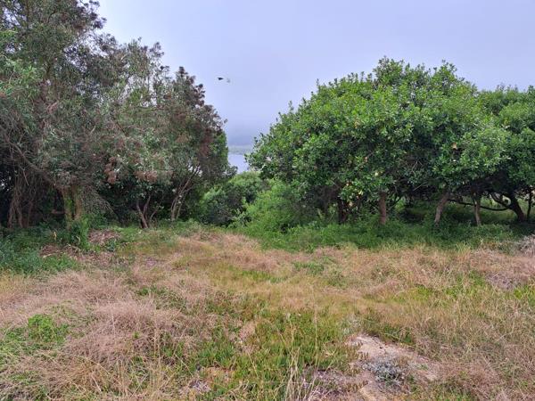 1 168 m² Land