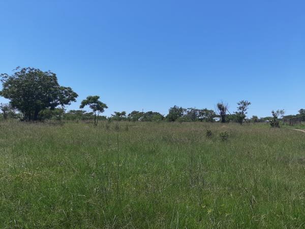 6 070 m² Land